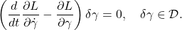 \begin{equation*} \left( \frac{d}{dt} \frac{\partial L}{\partial\dot{\gamma}} - \frac{\partial L}{\partial\gamma} \right) \delta\gamma = 0, \quad \delta\gamma\in\mathcal{D}. \end{equation*}